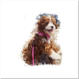 Cavapoo dog watercolor Posters and Art